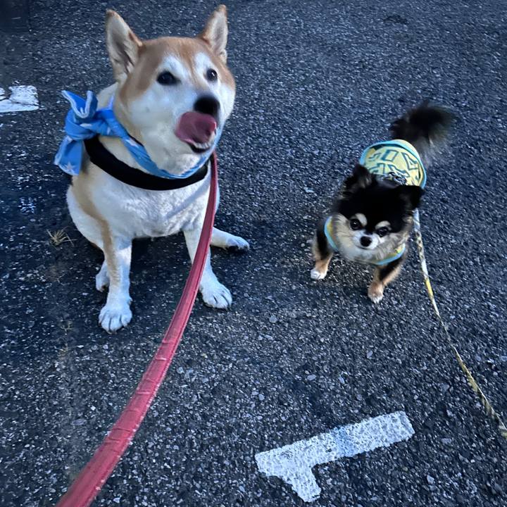 3f1e002e 8303 4009 9505 964feb823ecb 1726135780940