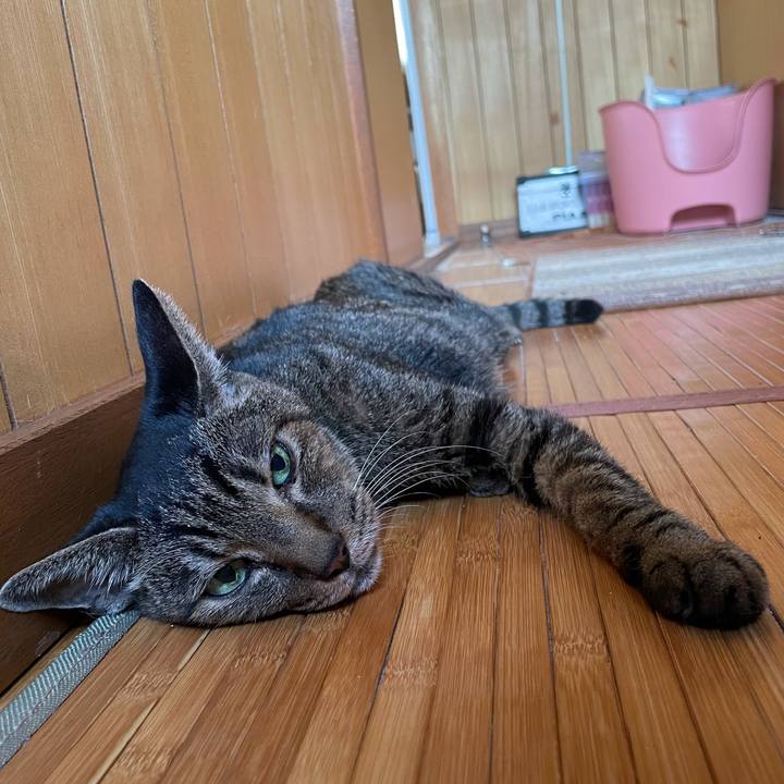 3f1e080c b1b7 4ce9 b249 8ed9e7ee5c84 1631238111867