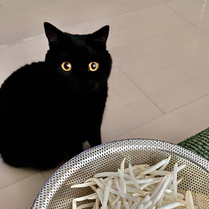 3f1e1b3f d289 4146 86ab 2fd838794972 1598774928772