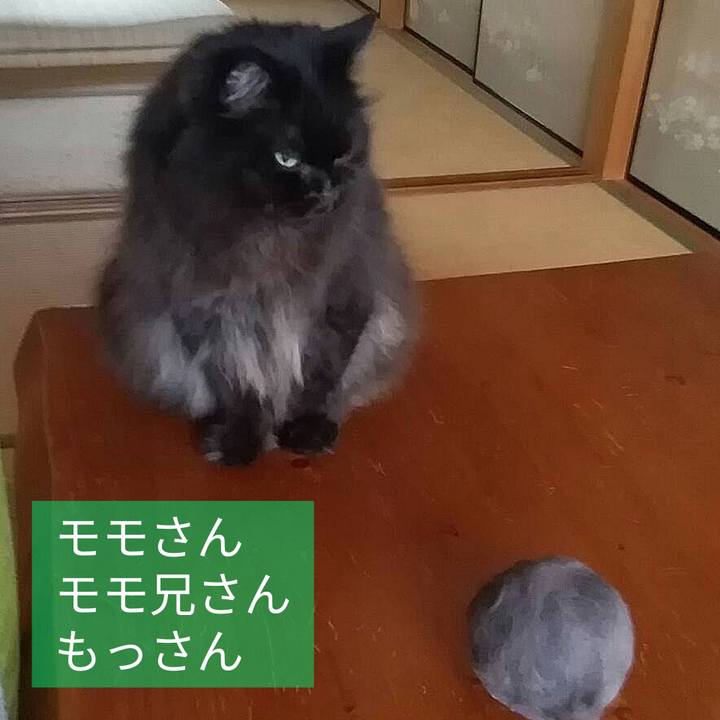 3f1e2eef 1bda 4378 a455 d7becff4d6dc 1656300502848