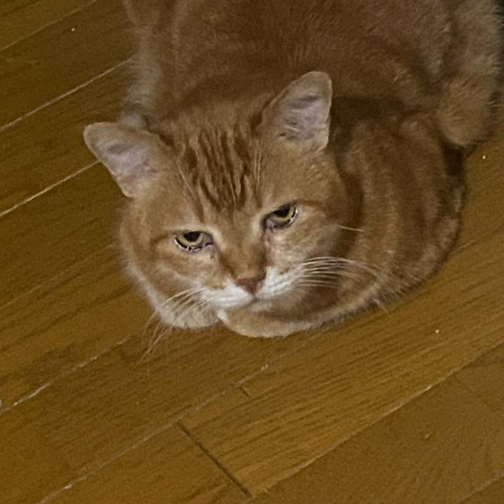 3f1e42d3 55a5 4161 b07f 1476206a678b 1718974185335