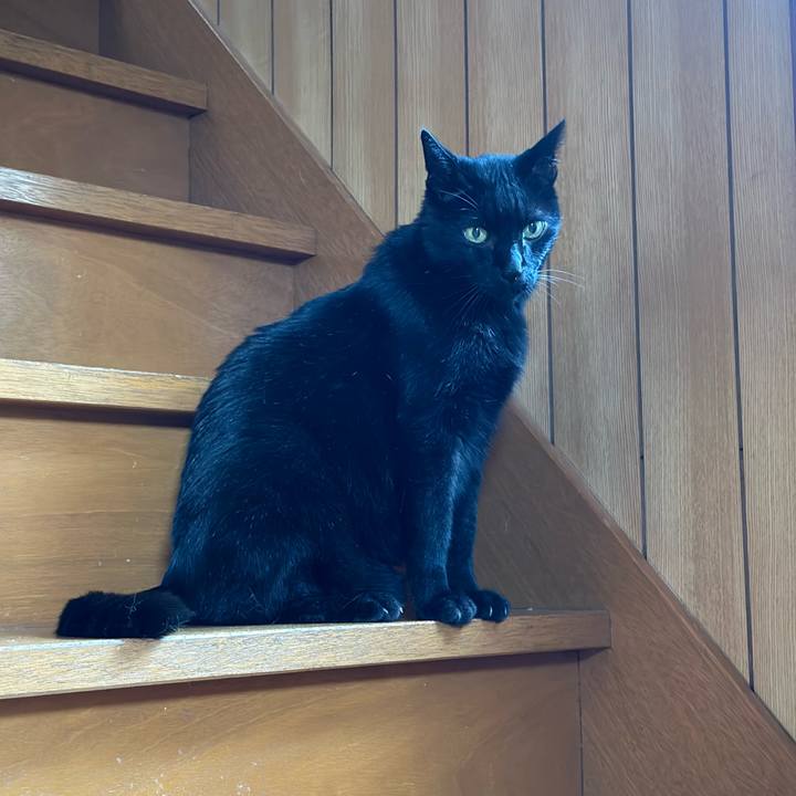 3f1e7d32 fa0d 4e30 bbb8 3afbaab476d4 1665368445661