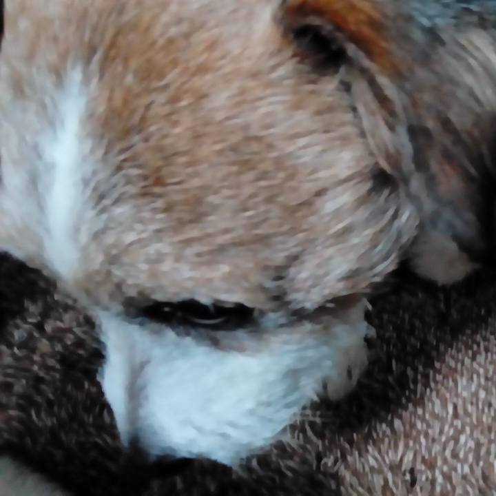 3f1e7e50 d472 48a5 928c ea84d6581fe8 1513592095092