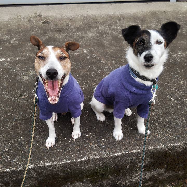 3f1ebbc7 94ec 41e9 abf8 18731cca2ea6 1759786998354