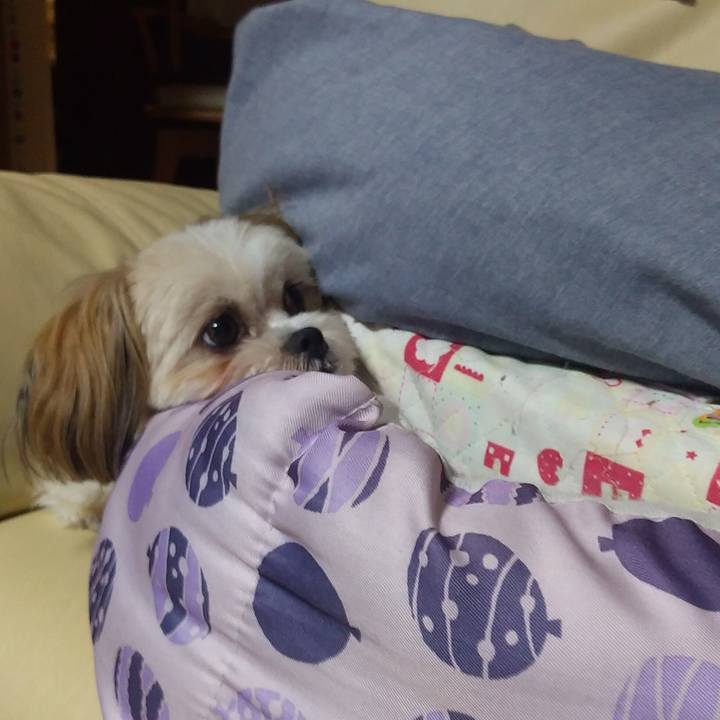 3f1ec1a5 5930 4978 b27e 3b13f263d1fb 1596795256429