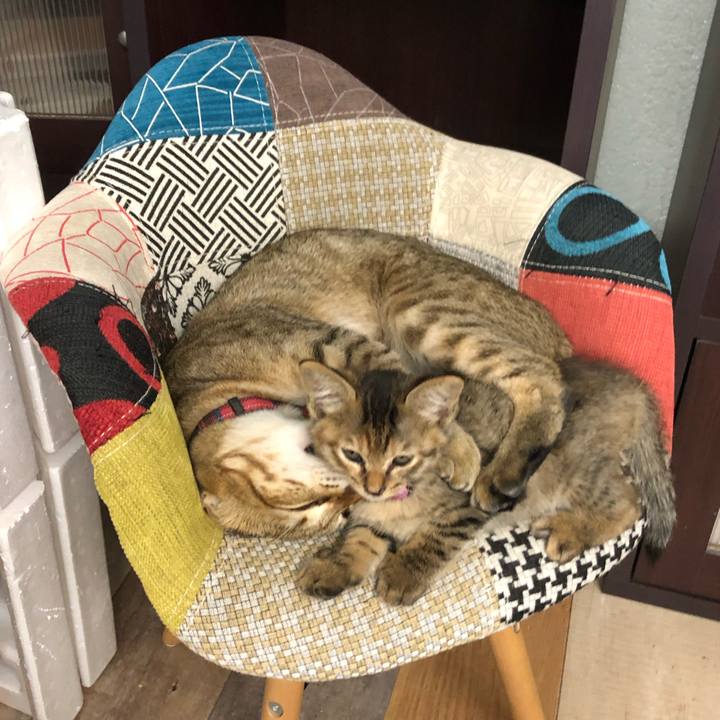 3f1ec4f3 a260 47b0 8240 fec358b023c2 1601978390472