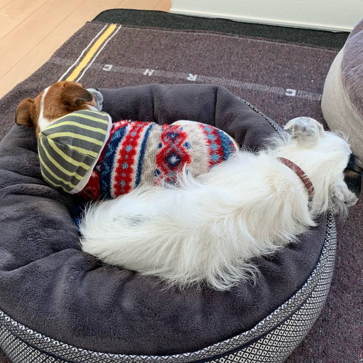 3f1edd52 6996 48e1 8b3e 2440a4be2ec0 1610173610012