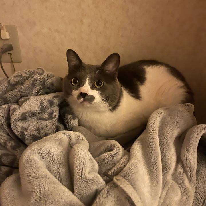 3f1eef39 5a0d 4fd3 9237 a5de544e0151 1743868490261