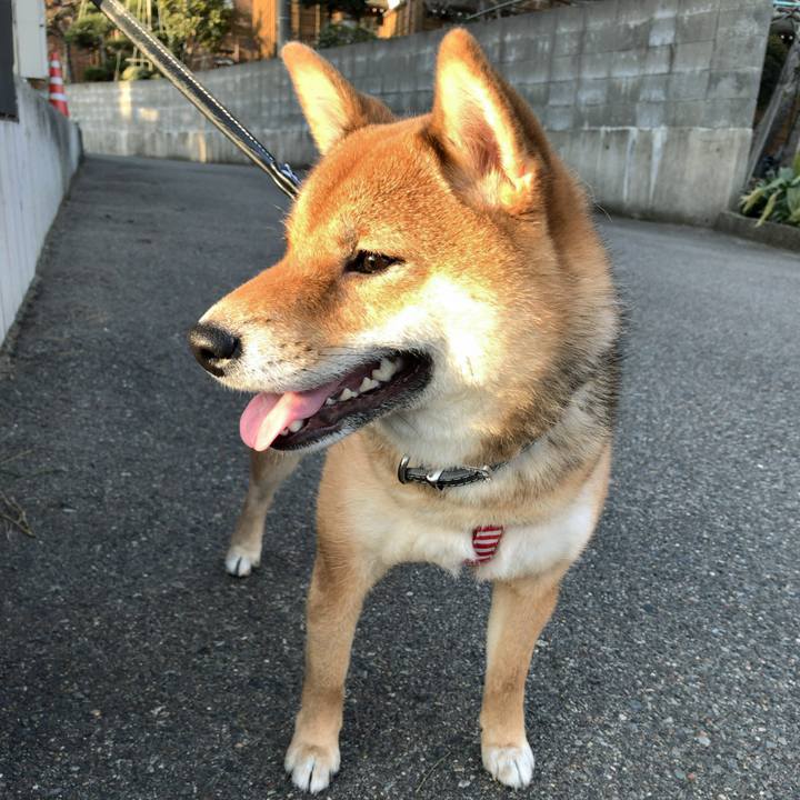 3f1ef1f8 b810 45c2 b2e4 d0a30cef1e44 1520063472861