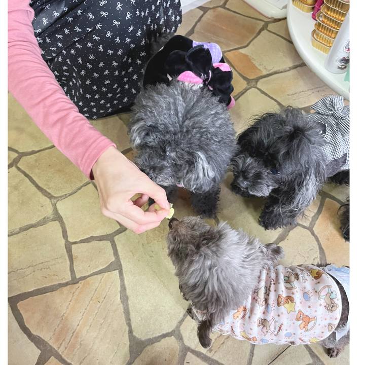 3f1f140a 579a 4efb a89b 5d3b1e08f869 1671873312144