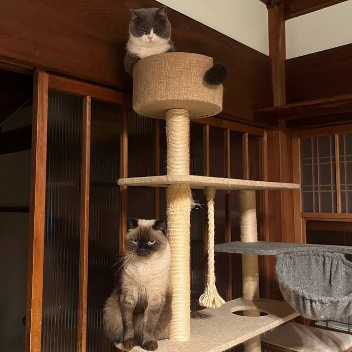 3f1f1aa9 d9ca 4cec ade6 b0104dfaa566 1666266091805