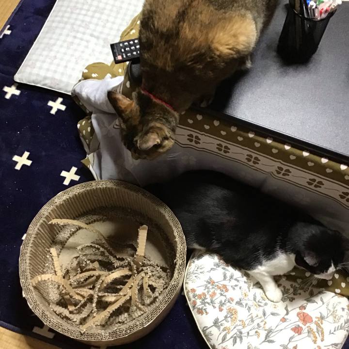 3f1f56fc e380 4b88 a789 5dd020e5d160 1708683173244