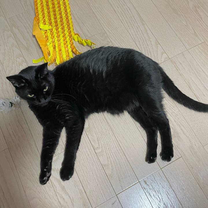 3f1f6993 2537 4973 97ba f0cad8e0c897 1670765046592