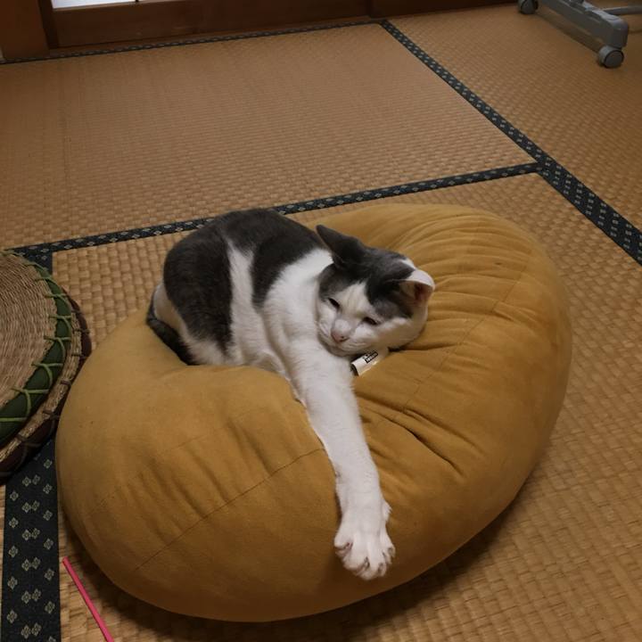 3f1f6b51 8878 4767 ab98 b8e141462f8f 1560203828153