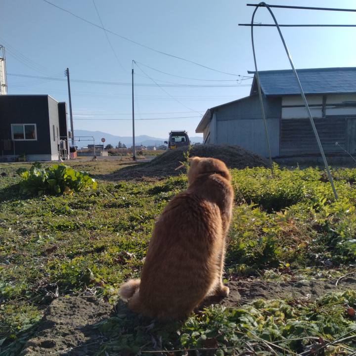 3f1fa7d6 dbab 4a28 bb67 8caf5e77ce88 1669621821163