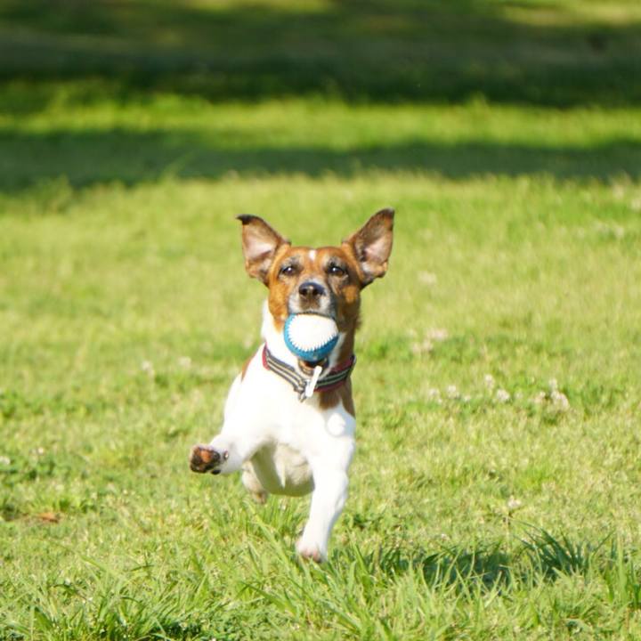 3f1ff563 8380 4dd0 ae0e bdb93c7ad349 1558912099909