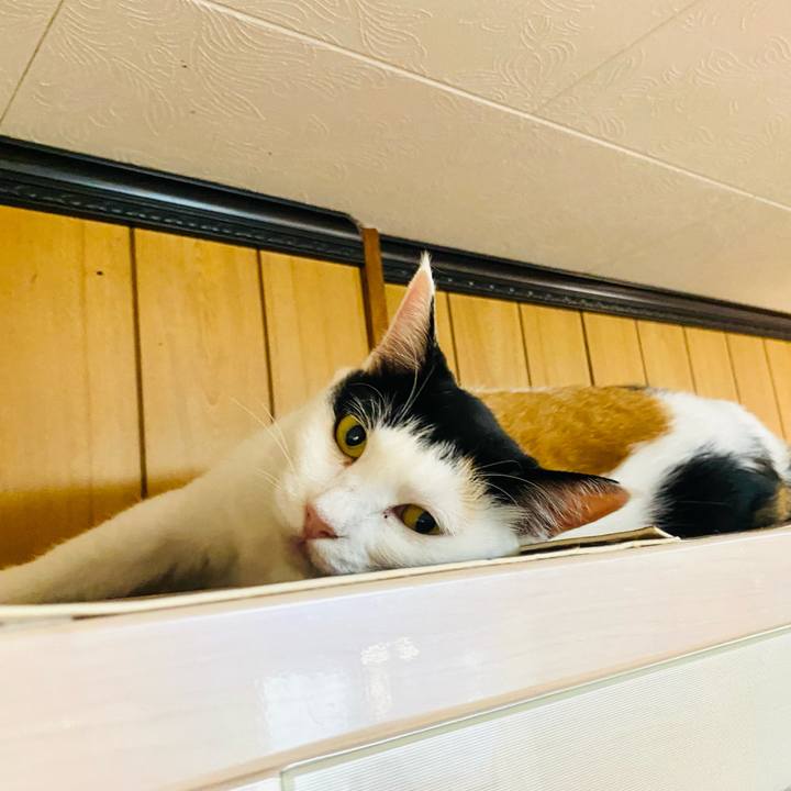 3f202102 70d0 4b66 addf b5404f20e275 1659998383269