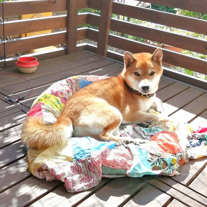 3f2022d7 eb0e 4ac6 916a 2a4f651cd824 1664511808073