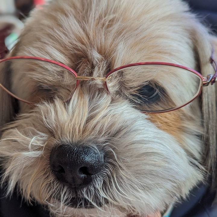 3f203540 dfe7 4b1b 94ee 75736efbd1d8 1717225883611