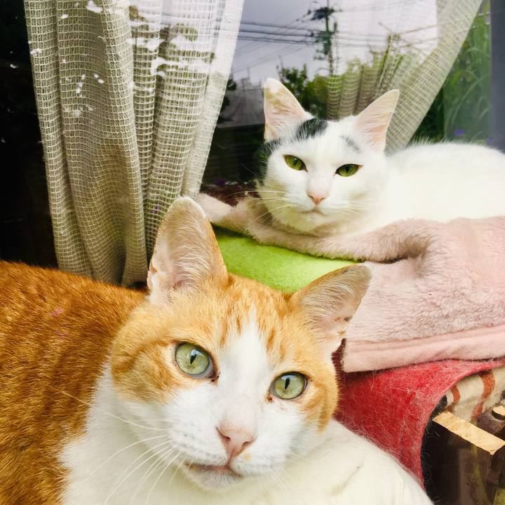 3f205147 8795 4a23 bb79 c82edd2f5912 1561177336908