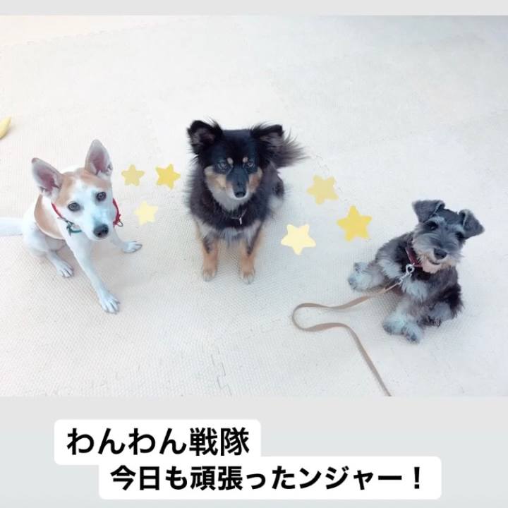 3f2059cd d9e2 41db 804a 4286fef88c75 1605021052256