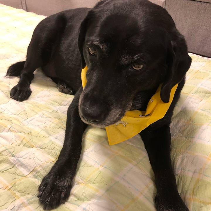 3f2079e4 c2a1 49a6 896c 9659f9cf5e90 1600647700175