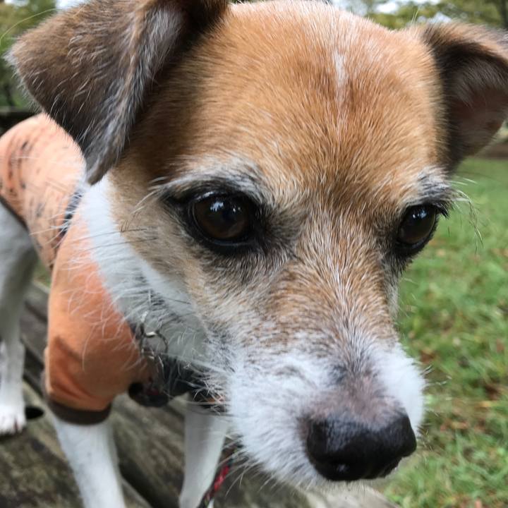 3f209064 ecf2 4b7a 8f3f a5baf49b0d5d 1571126414640