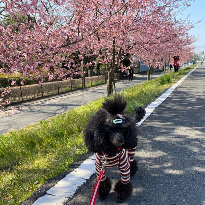 3f21133f fb91 47b8 ab67 2e3473d92fed 1647058859912