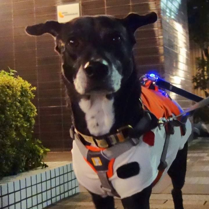 3f2145f3 b276 4224 a876 2e5aa4ccb4d9 1734607117132