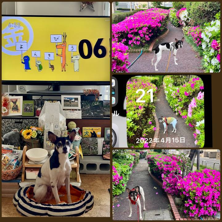 3f21651e 66f6 4a7d ada5 fc91c0b14197 1682028128105