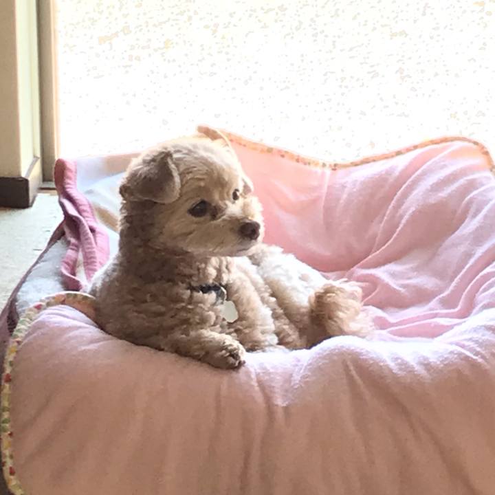 3f2179b8 a75b 494a 9325 a5d5db347de6 1556779112973