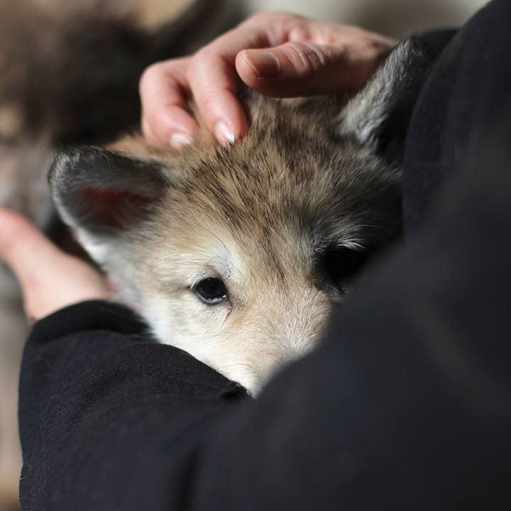 3f21ce1f df61 4e53 b008 2bf24e447cef 1551693223788