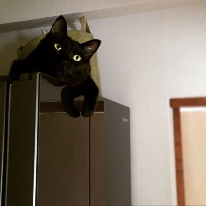 3f21e0dd 84dc 40fd a753 97a94a5a07ea 1523418097442