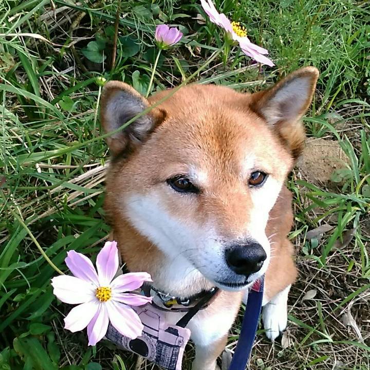 3f21f134 d9f2 4ef2 a5ae b5f047dd3a9f 1569828027196