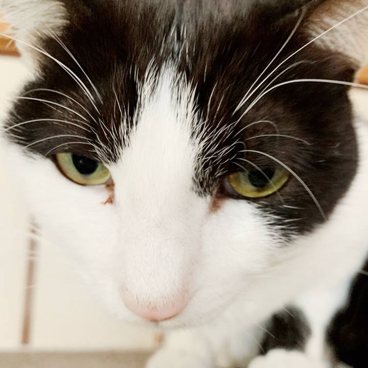 3f220c81 782e 47ff bd94 25733db70f31 1543022412754