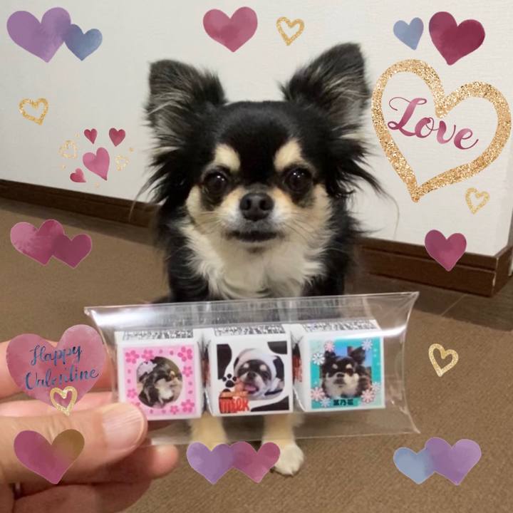 3f2216ca 7e66 4673 830c cf9ef2ae547f 1644785294357