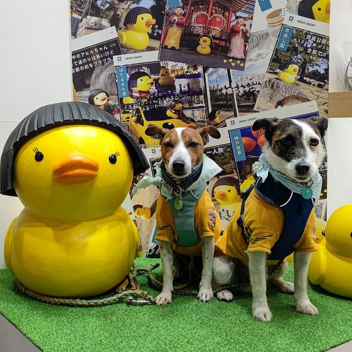 3f22451a f88f 4d54 a852 e4a315fa7461 1712391983758