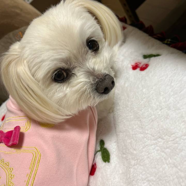 3f224c22 50c5 4810 9380 72739f5dcf08 1675939747250