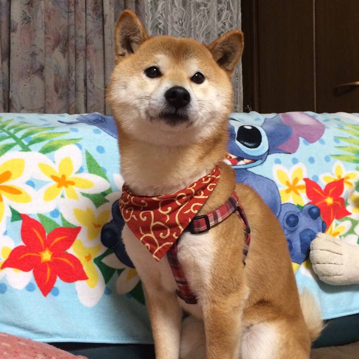 3f224d78 b232 401e 99fd 4fcf214f0077 1518344863400