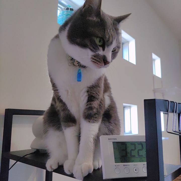 3f225529 f3e9 4e1f a11d eacac412bfdb 1715674038071