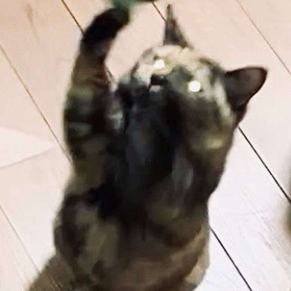 3f2269dd c247 485d 838a ebdad3b9fa66 1735286714239