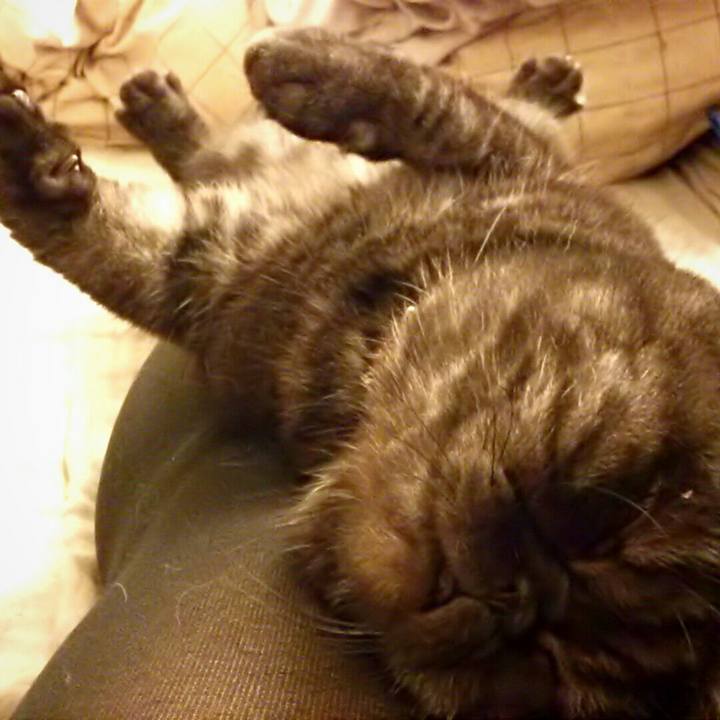 3f227091 2910 47b3 904f 429cddf211c4 1511259874771