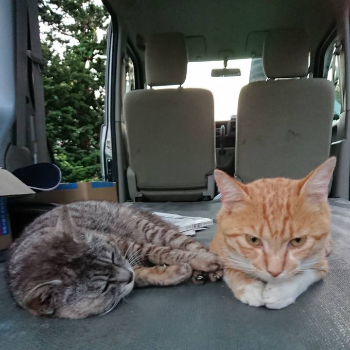 3f22ab78 a09f 4744 bb36 30bc50b42866 1564308628475