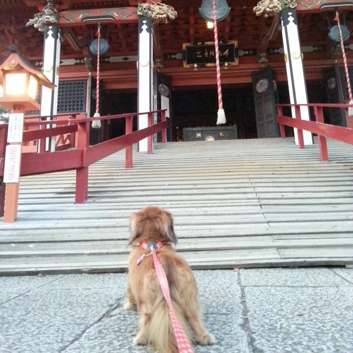 3f22d8f0 7342 4094 9621 016216bf0bc9 1540207883795