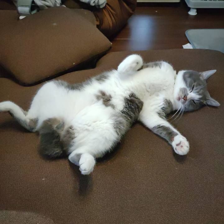 3f22f1f8 600e 4788 af8c 3bd0b3a4d9ca 1721901407782