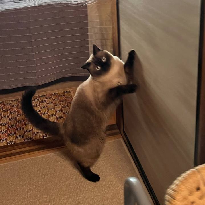 3f22fecf cd06 4d7d 959f 96c2dee65da5 1661660684352