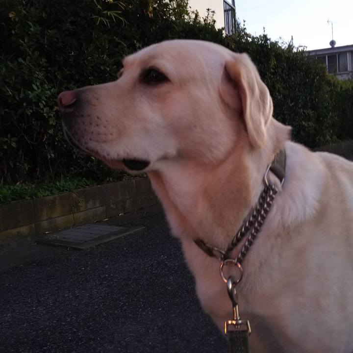 3f2301dd 8c74 4ba9 b248 9a32d16cae49 1541063529421