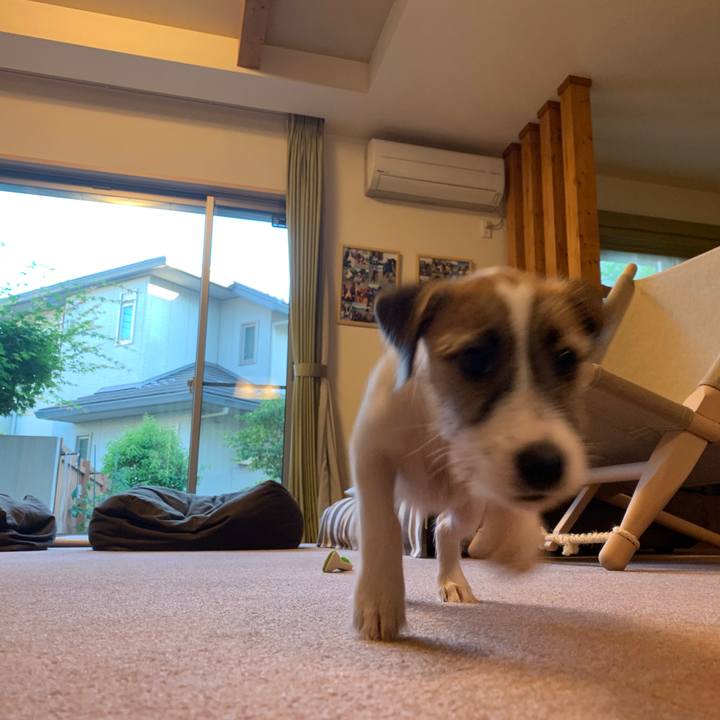 3f230878 3047 49ba befd a24b77db1437 1560422199577