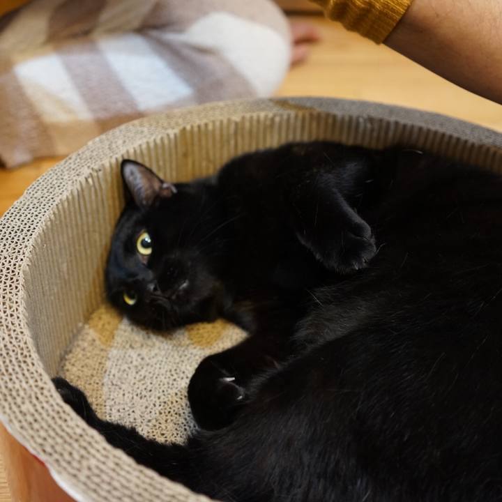 3f233aa3 deed 4cc6 a8f4 c61ffc302592 1512887925685