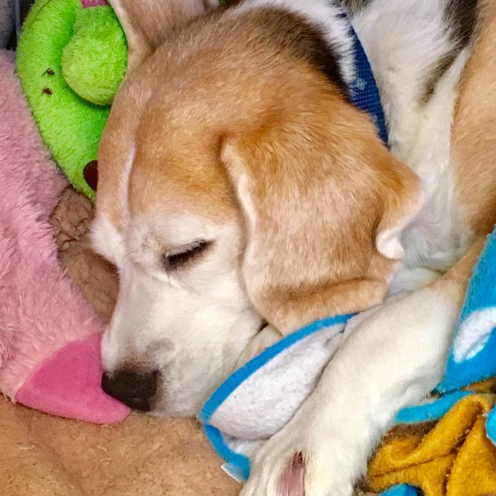 3f235ee7 9456 4609 a031 5f8b16a33ab9 1560676895591